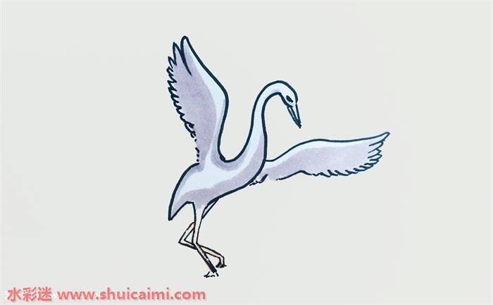 白鹭简笔画怎么画图片彩色