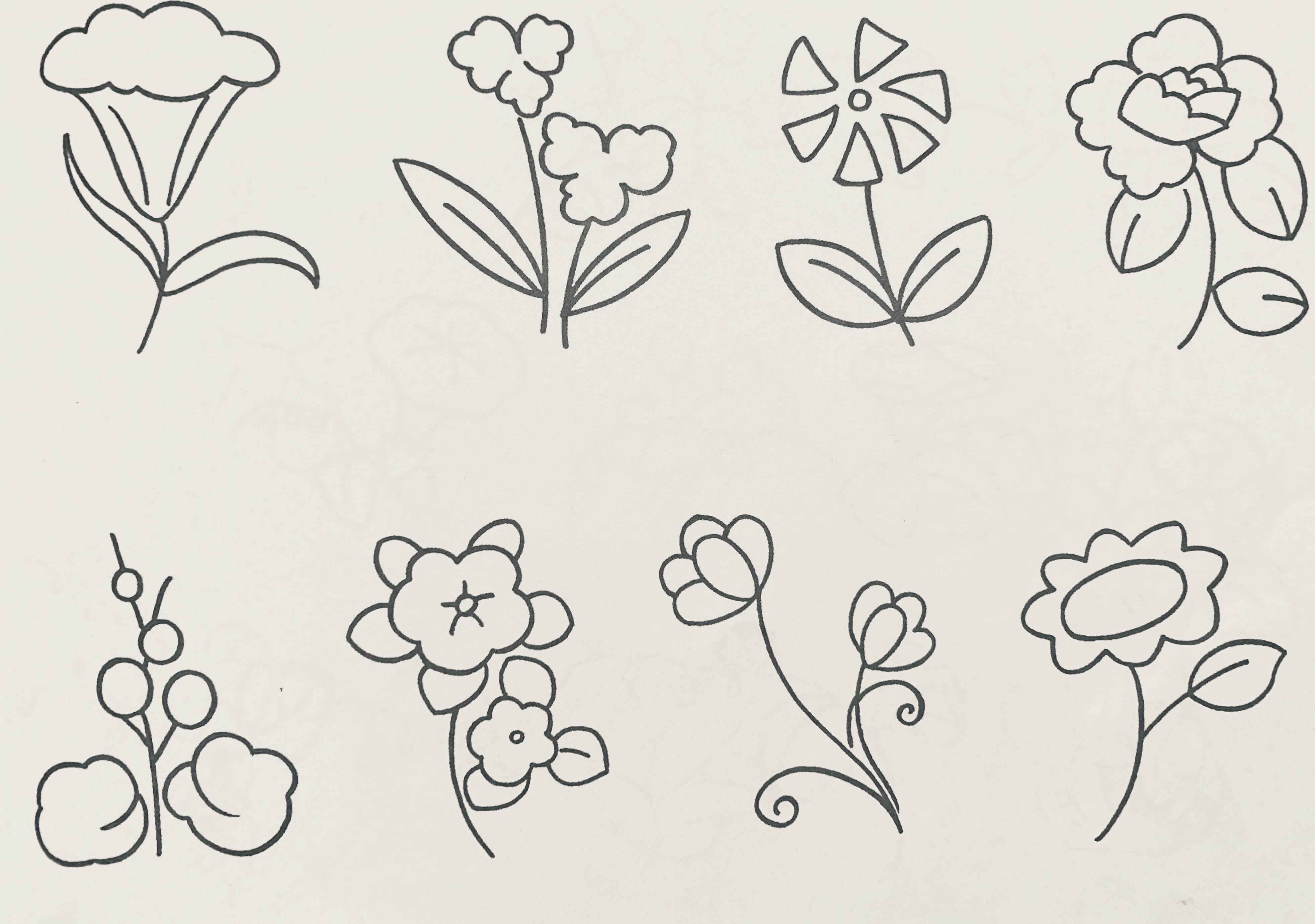 画植物简笔画 儿童画植物简笔画