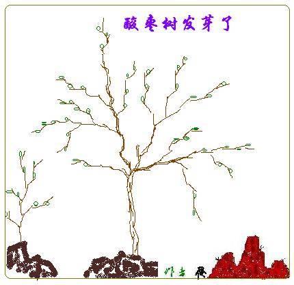枣树简笔画图片大全 枣树简笔画图片大全儿童画