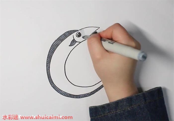 带鱼怎么画 带鱼简笔画画法