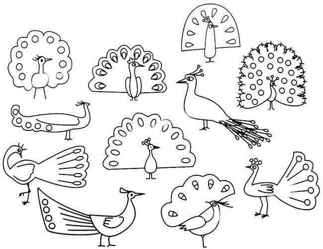 孔雀的简笔画 孔雀的简笔画图片