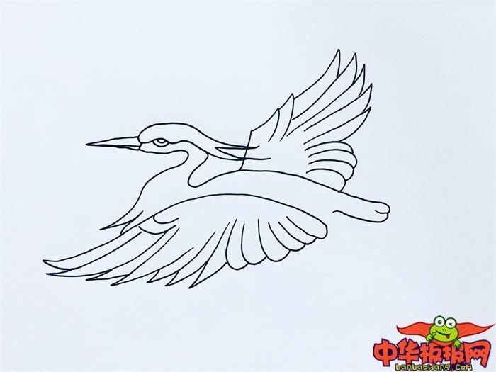 飞翔白鹭怎么画 飞翔白鹭简笔画画法
