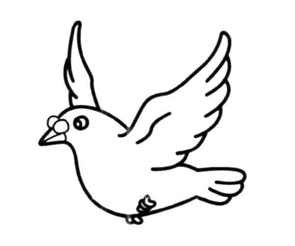 简笔画鸽子 简笔画鸽子涂色