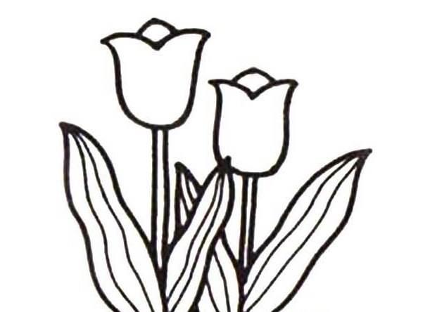 简笔画图片 简笔画图片小动物