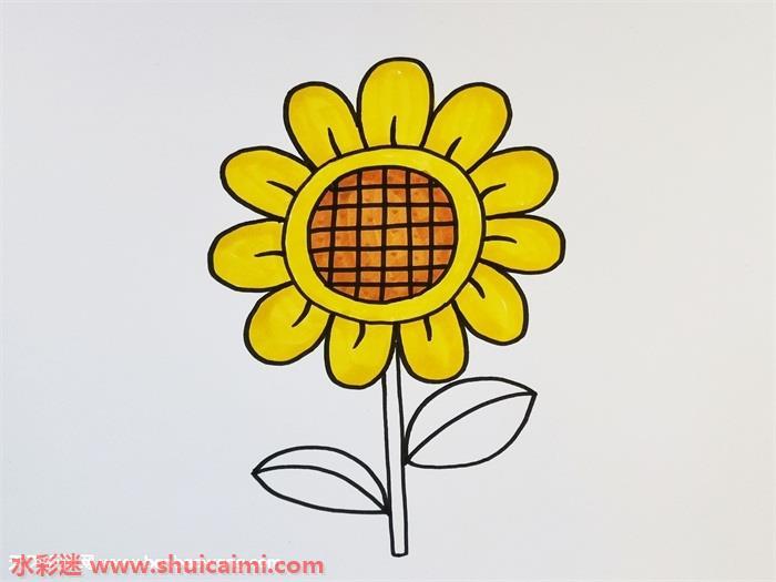向日葵彩色怎么画 简笔画向日葵上色画法步骤