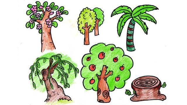 橘子树简笔画 橘子树简笔画图片带颜色