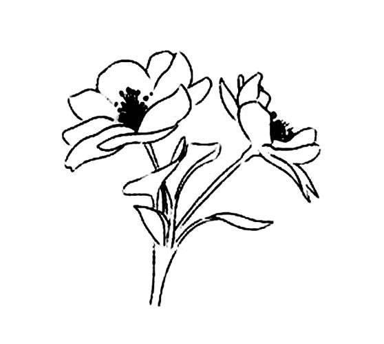 桂花的简笔画 桂花的简笔画怎么画最好看又简单