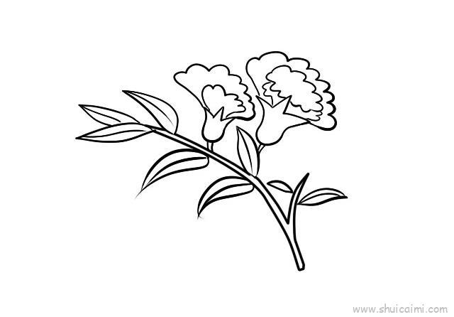 石榴花儿童画怎么画 石榴花简笔画简单又好看