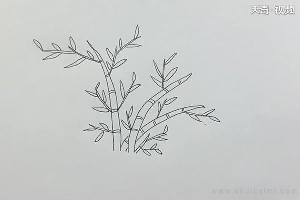 竹子简笔画怎么画 竹子简笔画简单
