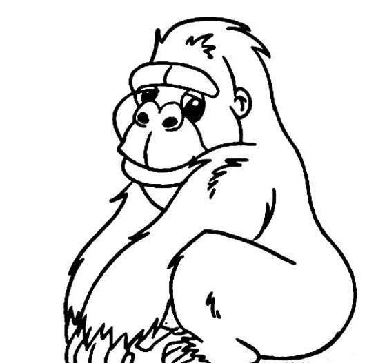 猩猩简笔画 怎么画猩猩简笔画