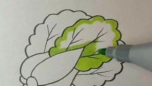 白菜怎么画简笔画 白菜怎么画简笔画简单
