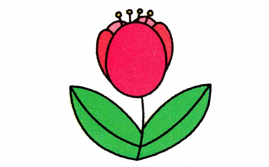 郁金香简笔画 郁金香简笔画图片