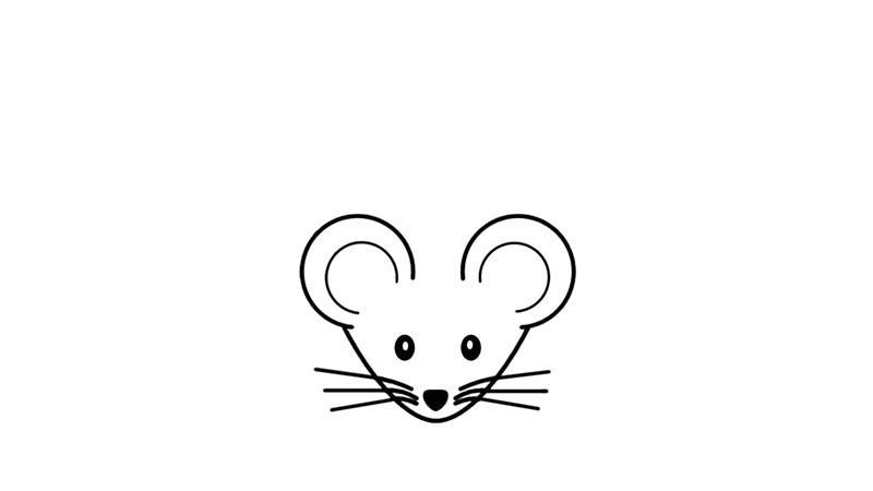 老鼠简笔画怎么画 老鼠简笔画好看