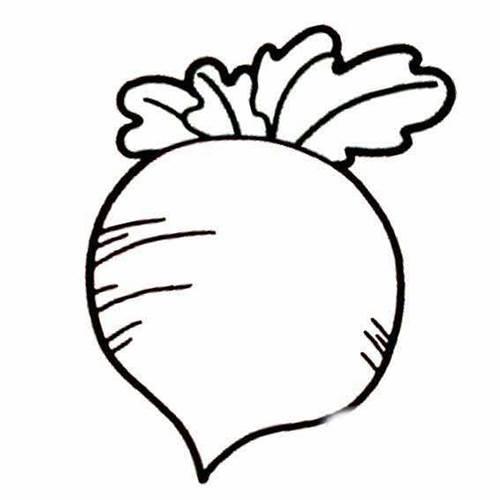 萝卜简笔画图片大全 萝卜简笔画图片大全简单