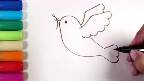 和平鸽子简笔画 和平鸽子简笔画带颜色