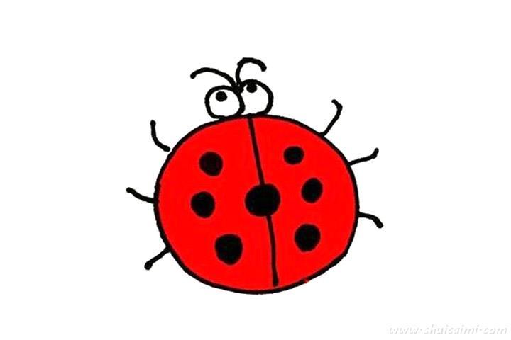 七星瓢虫怎么画 七星瓢虫简笔画步骤图