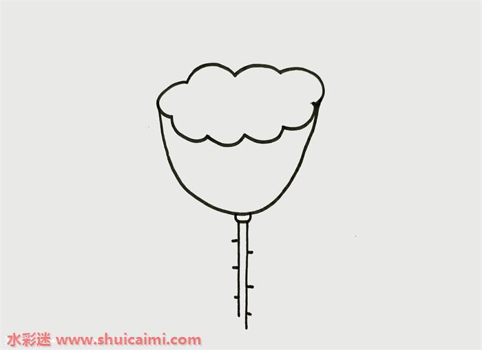 莲蓬怎么画 莲蓬简笔画简单又漂亮彩色