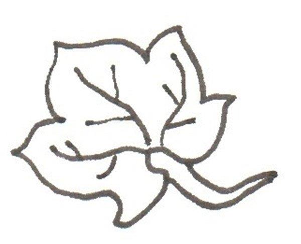 南瓜的简笔画怎么画 南瓜的简笔画顺序