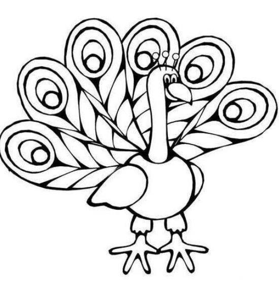 孔雀的简笔画 孔雀的简笔画图片