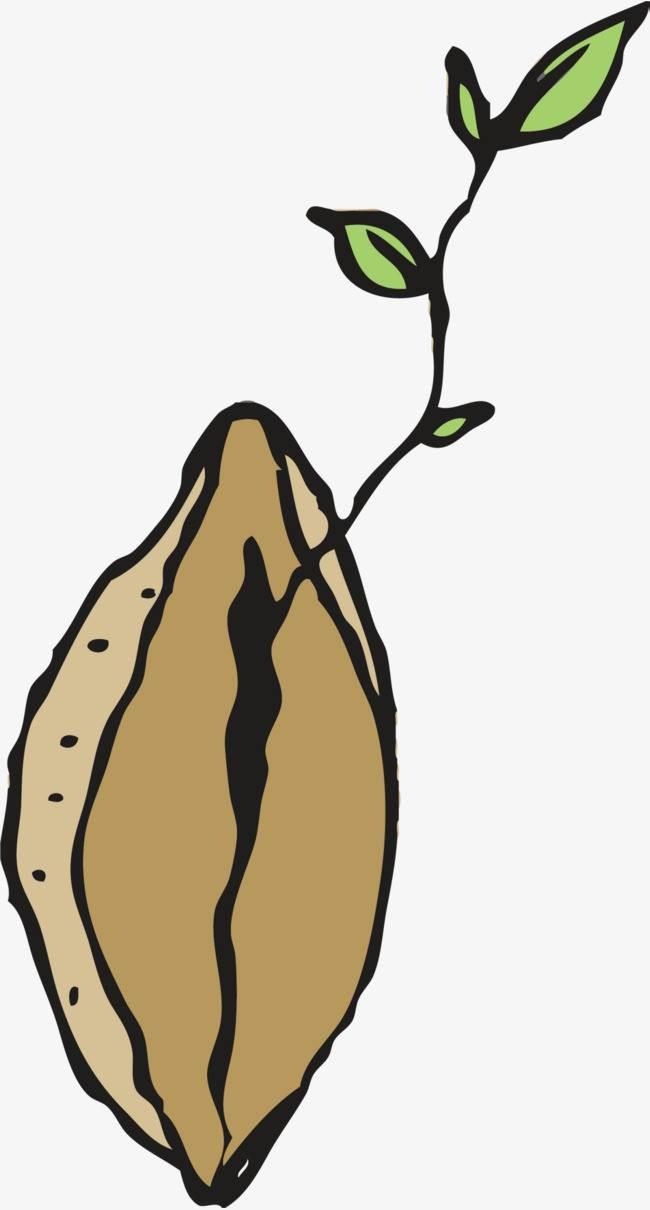 种子简笔画图片大全 种子简笔画图片大全可爱