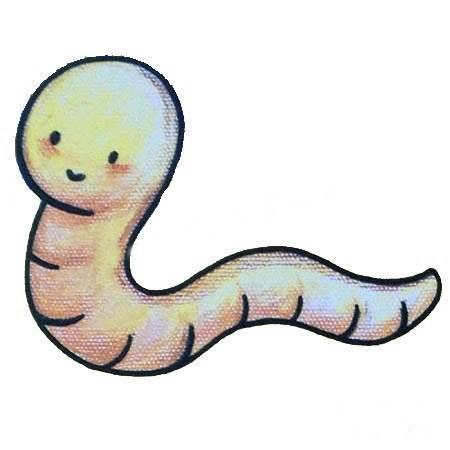 蚯蚓简笔画 蚯蚓简笔画彩色