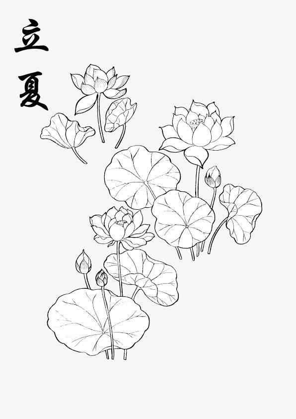 处暑的花简笔画 节气的简笔画怎么画