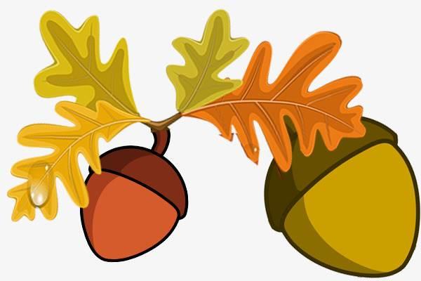 坚果简笔画 植物大战僵尸里面的坚果简笔画