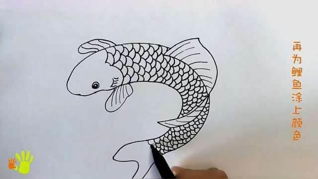 鲤鱼简笔画 鲤鱼简笔画简单又漂亮