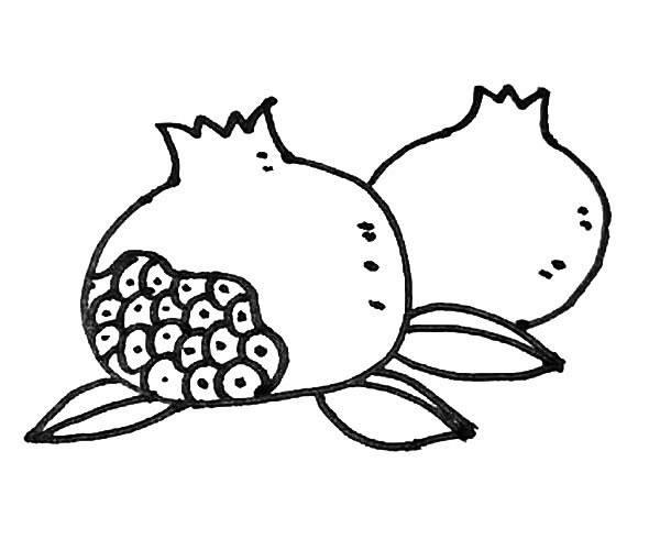 石榴简笔画 石榴简笔画图片大全大图