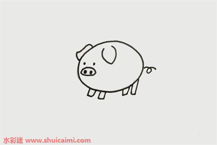 小猪怎么画 小猪简笔画图片彩色