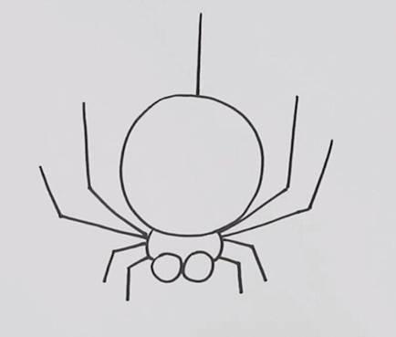 蜘蛛的简笔画 蜘蛛的简笔画图片大全