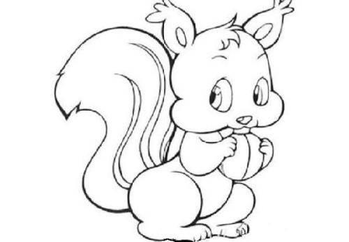 松鼠的简笔画 松鼠的简笔画怎么画