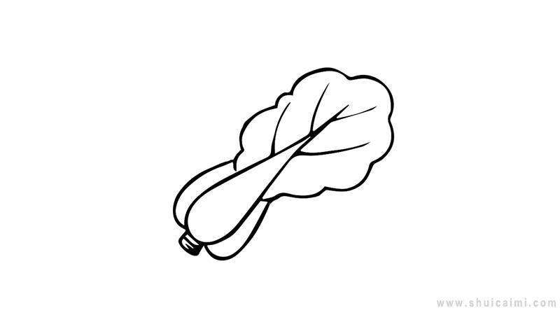 大白菜简笔画怎么画 大白菜简笔画图片