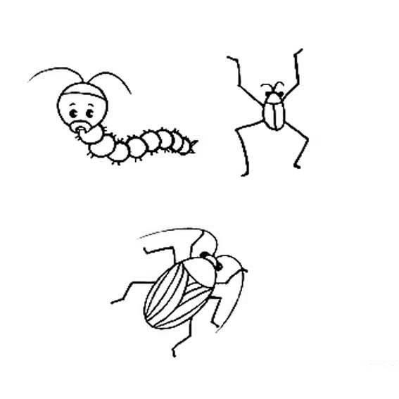 虫子简笔画 虫子简笔画图片大全