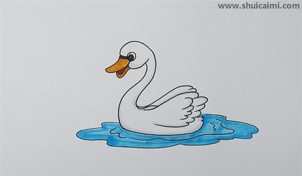 天鹅简笔画怎么画 天鹅简笔画简单