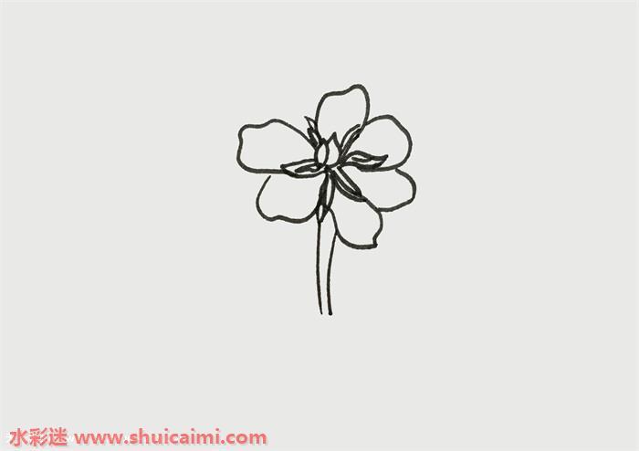 栀子花怎么画 栀子花简笔画简单彩色
