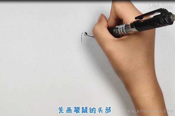 袋鼠简笔画怎么画 袋鼠简笔画顺序