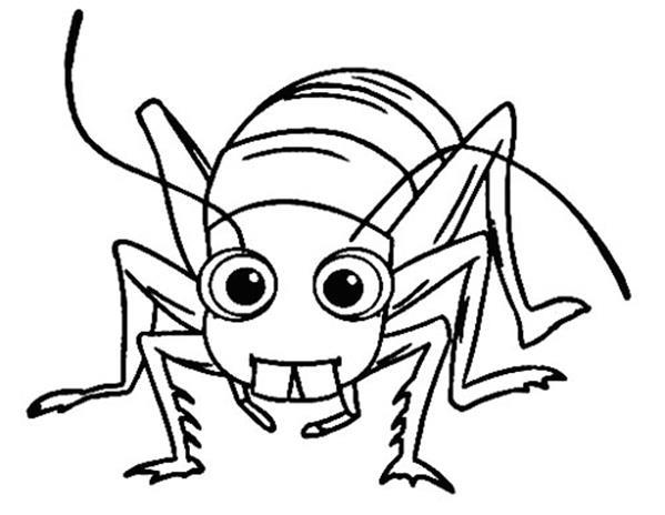 昆虫类简笔画儿童图片大全 儿童简笔画昆虫