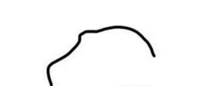 简单好看的恐龙简笔画详细步骤教程