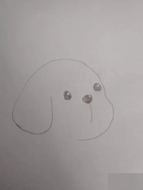 教你怎么画动物的简笔画教程