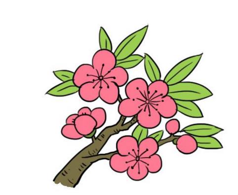 桃花儿童画怎么画 桃花简笔画顺序