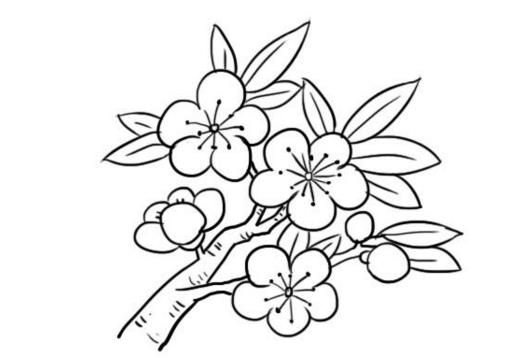 桃花儿童画怎么画 桃花简笔画顺序