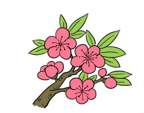 桃花儿童画怎么画 桃花简笔画顺序