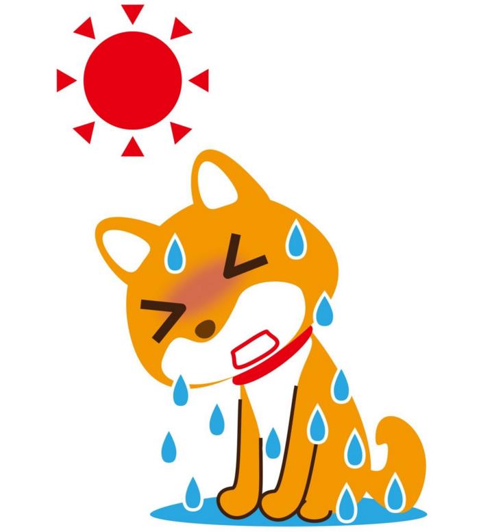 夏天流汗简笔画简单又漂亮