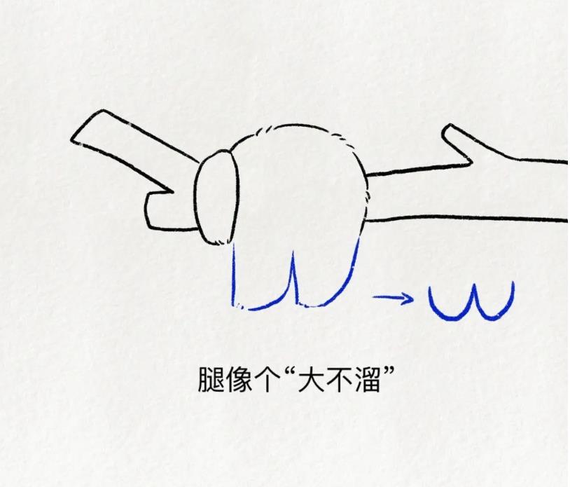 儿童创意绘画:大熊猫怎么画简笔画可爱又简单