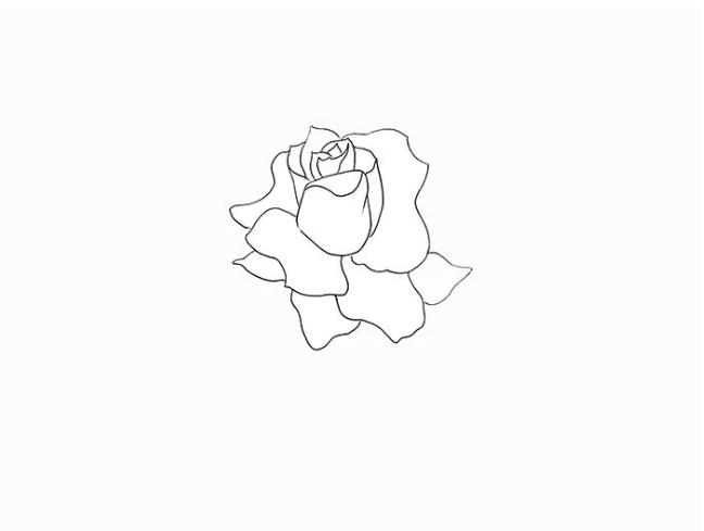 情人节玫瑰简笔画怎么画(含模板素材)