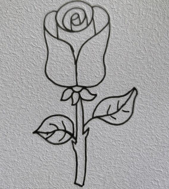 高级玫瑰花怎么画 高级玫瑰花简笔画