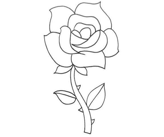 高级玫瑰花怎么画 高级玫瑰花简笔画