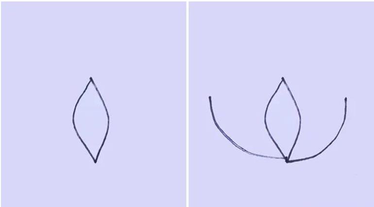 莲花简笔画简单又好看一步一步简单画