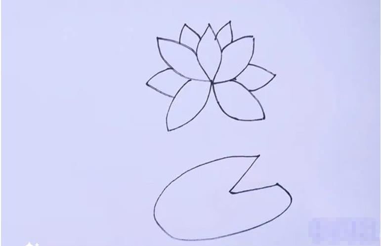 莲花简笔画简单又好看一步一步简单画